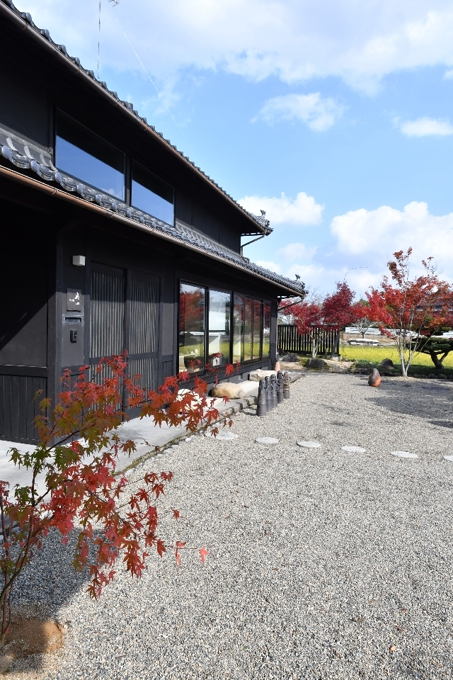 庭のもみじの紅葉がきれいです