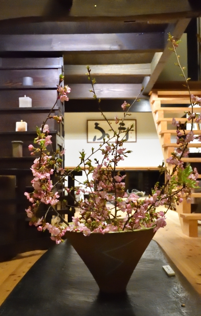 河津桜を活けました