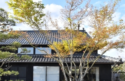 ギャラリーふうの4月の展示