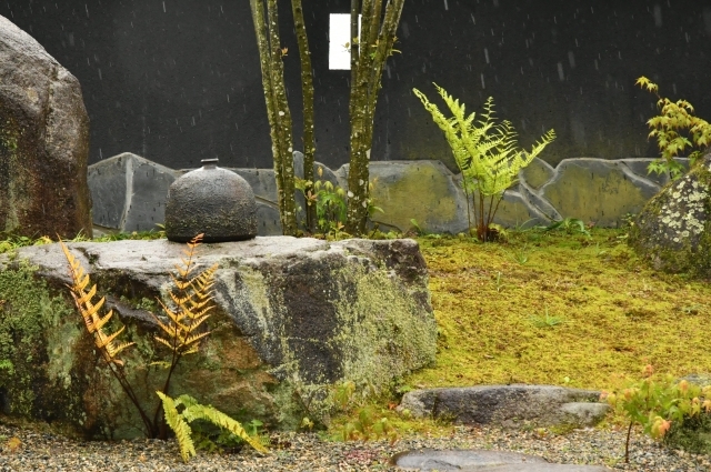雨の日のギャラリーふうの庭