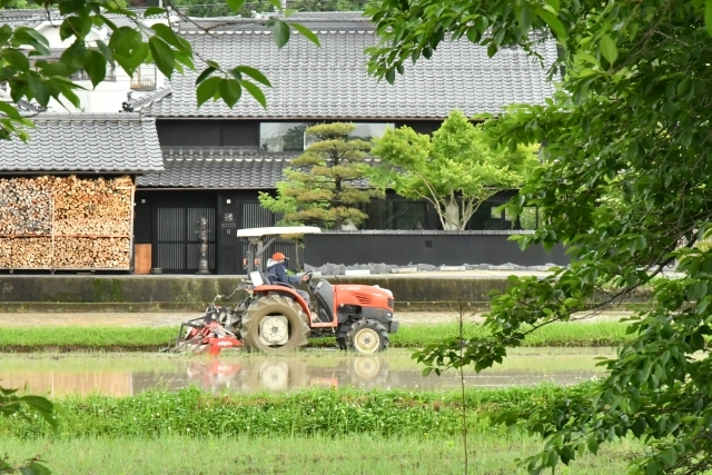 周りの田圃で田植えの準備や田植えが始まりました