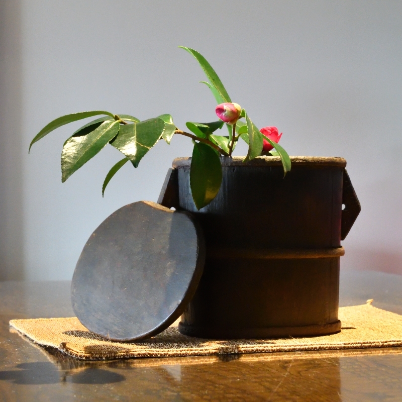 弁当箱に山茶花を活ける