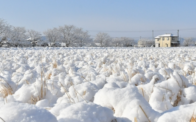 雪景色