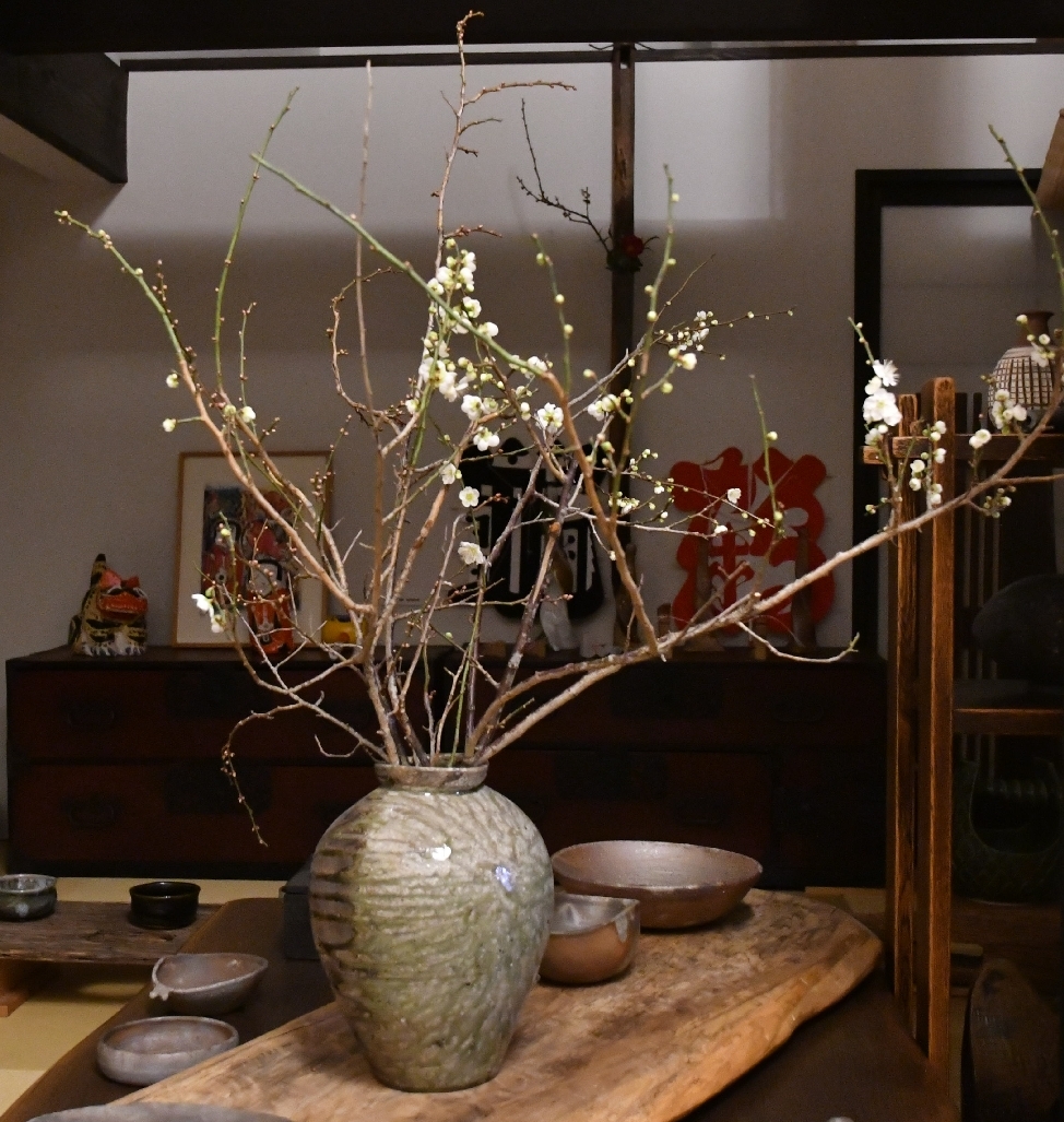 梅の花