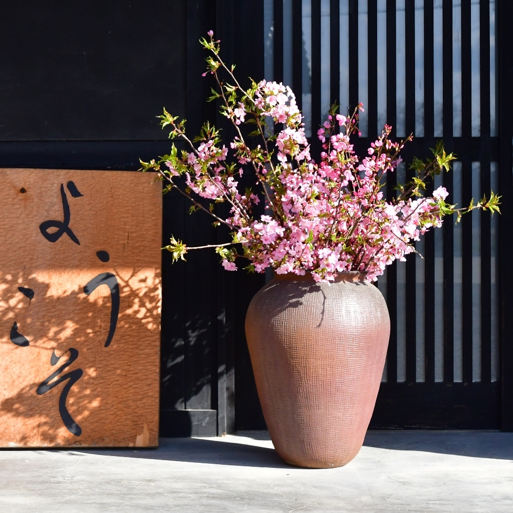 河津桜