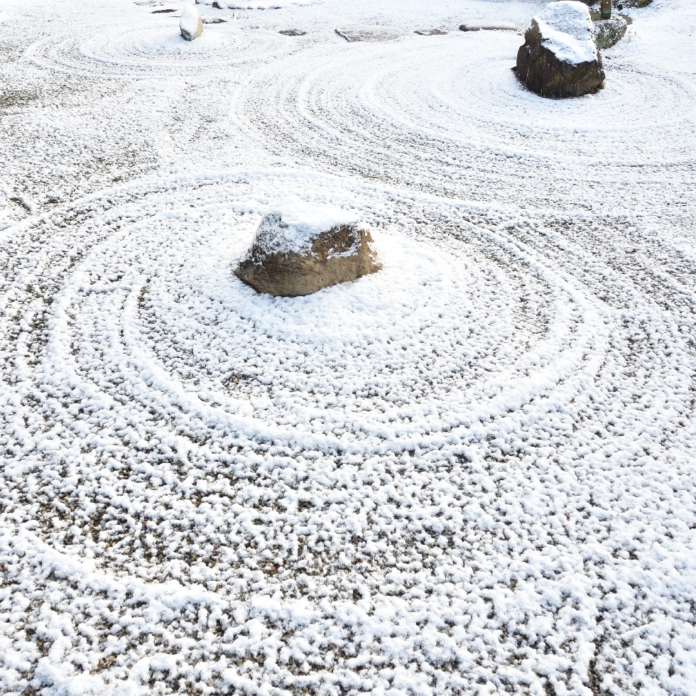 庭の雪景色