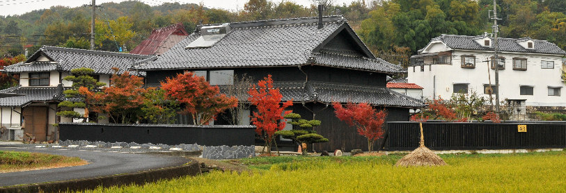 紅葉がきれいです