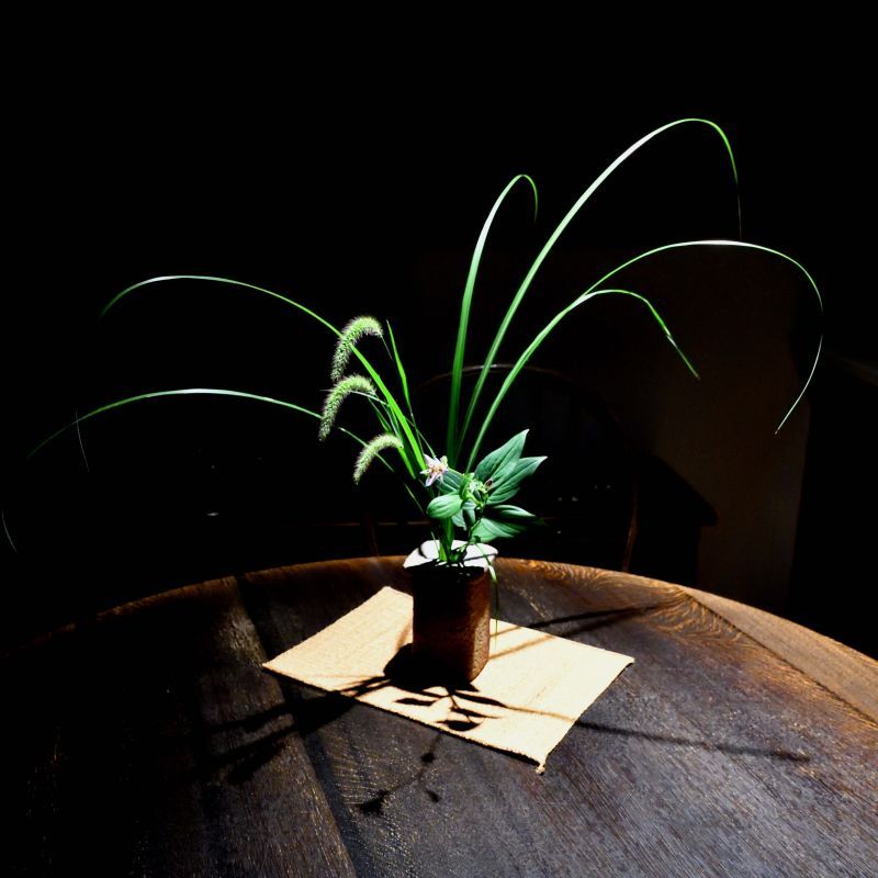 野の花を活ける