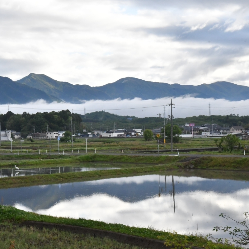 水鏡に映った風景