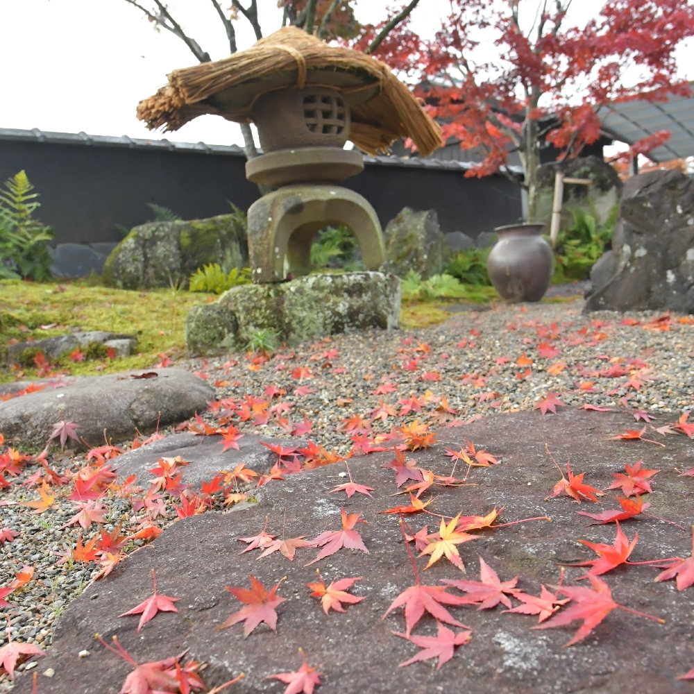 庭の冬支度