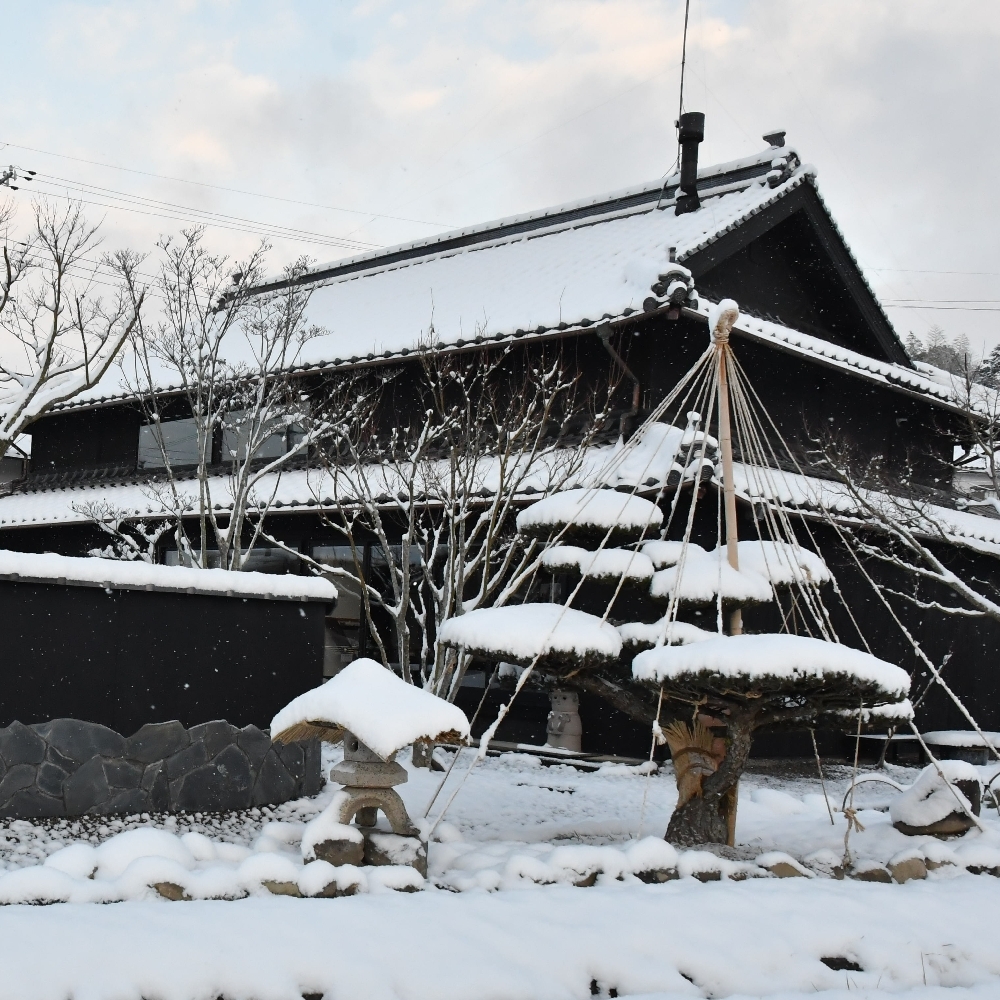 雪の朝