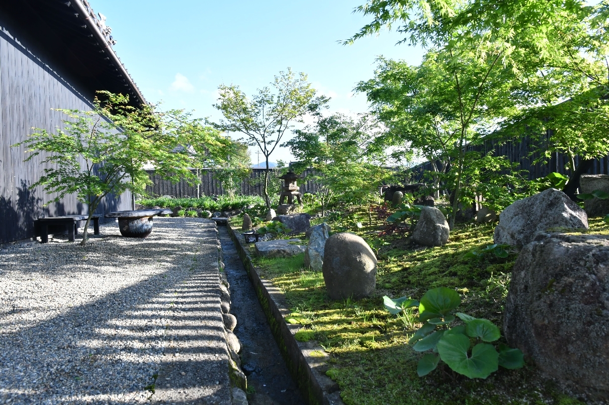 新緑の季節