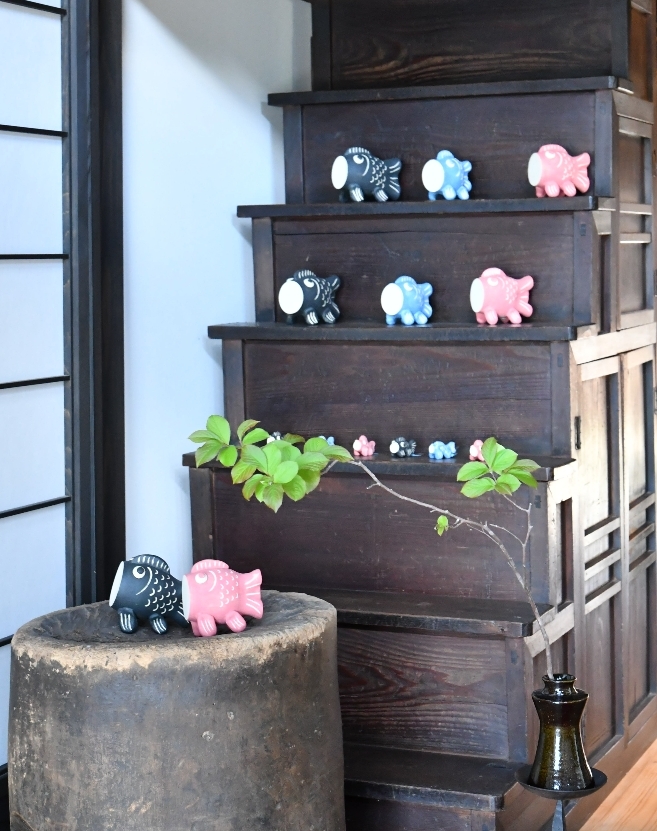 5月の展示