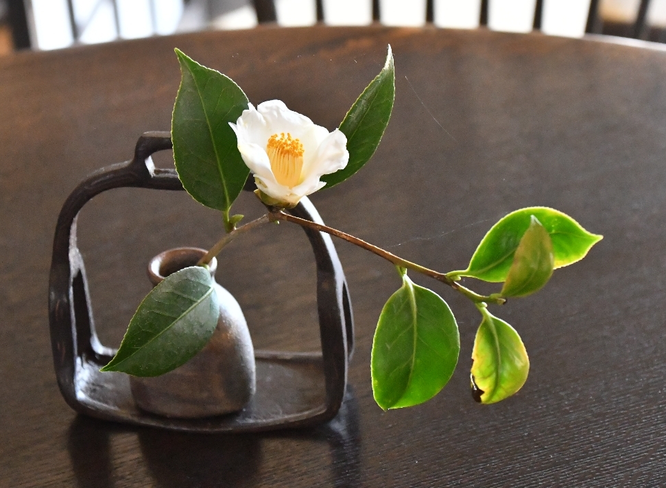 ギャラリーの生花たち