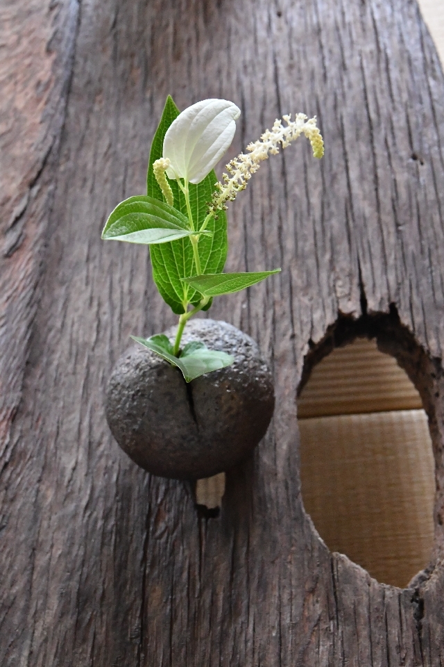 石のような花器