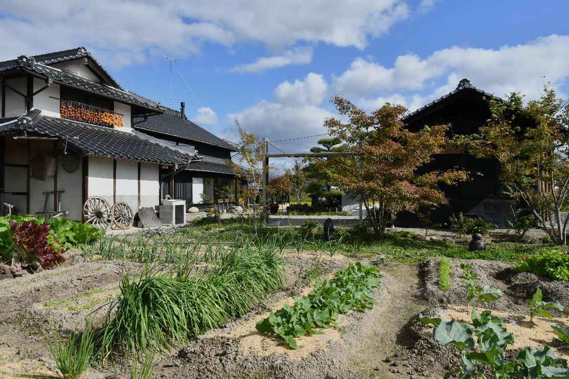 ギャラリーふうの庭の風景