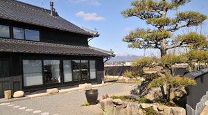 春の器たち